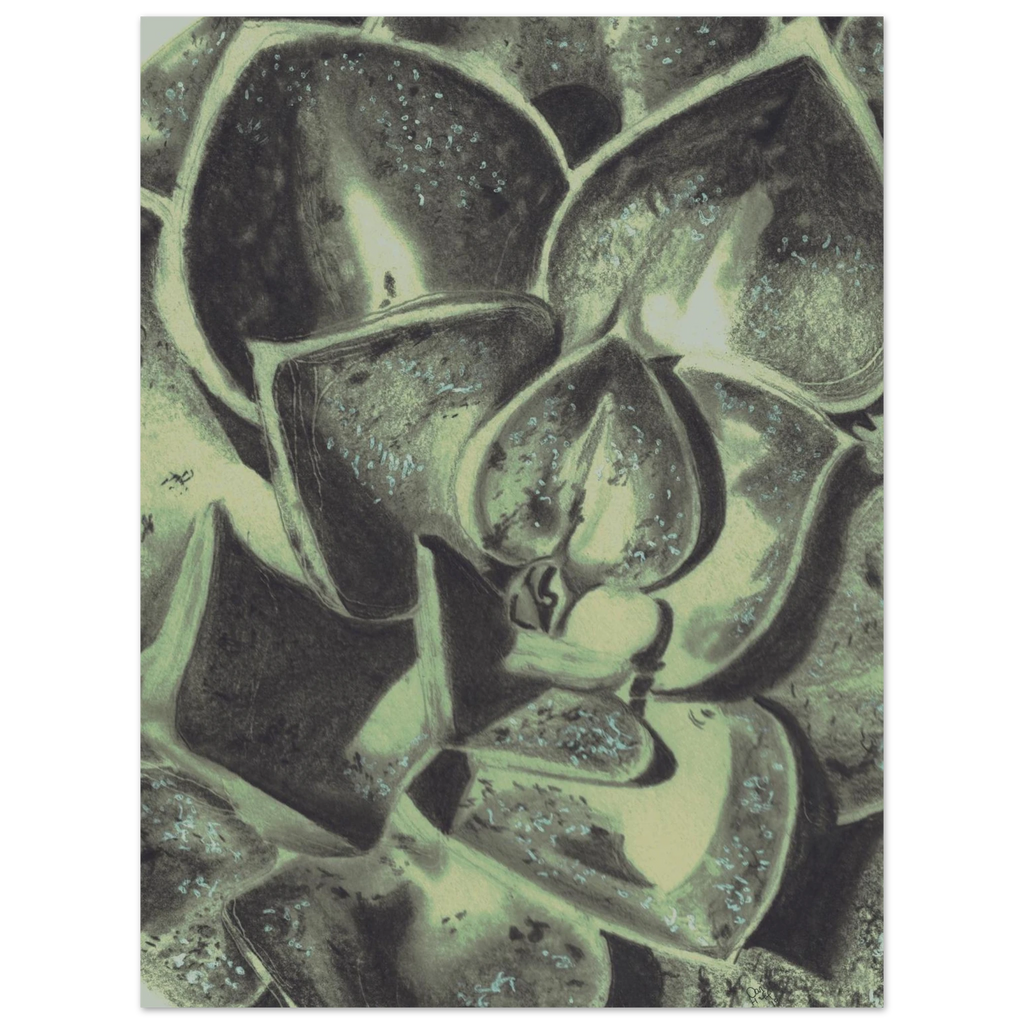 0ad436da-3a02-4d31-b0ff-4fd044c3657c