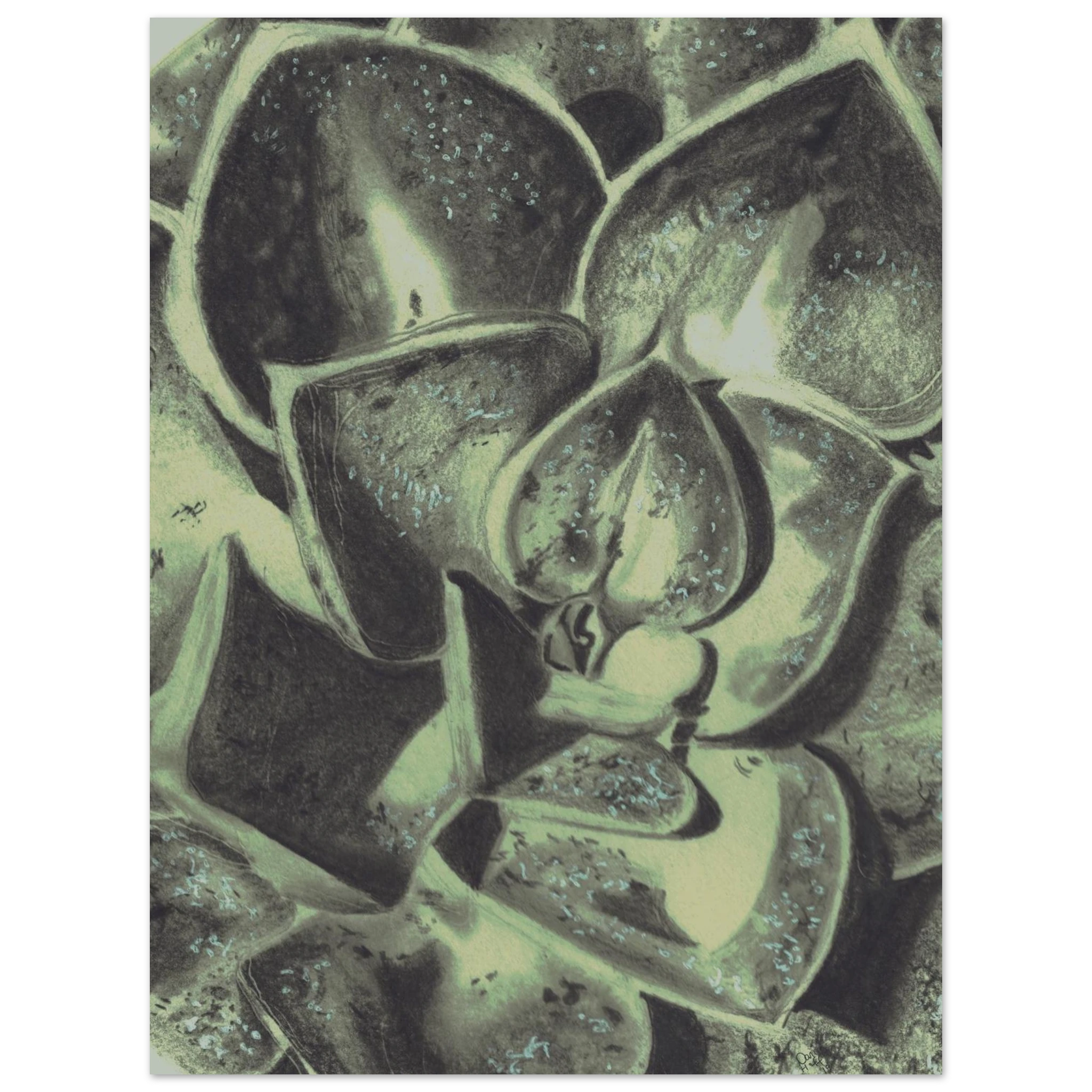 0ad436da-3a02-4d31-b0ff-4fd044c3657c