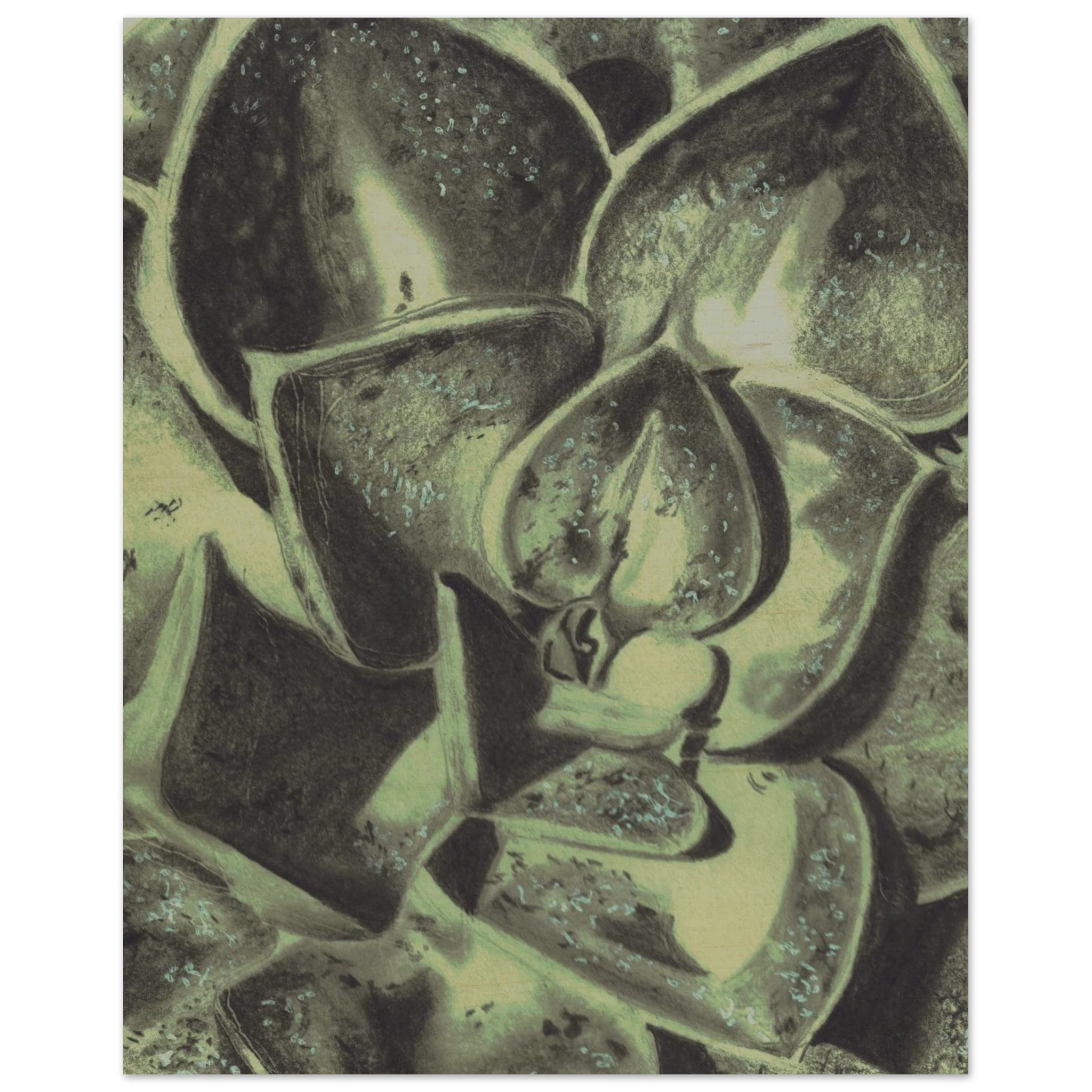 2f5f62c0-726a-4632-8592-0341ef7649fd