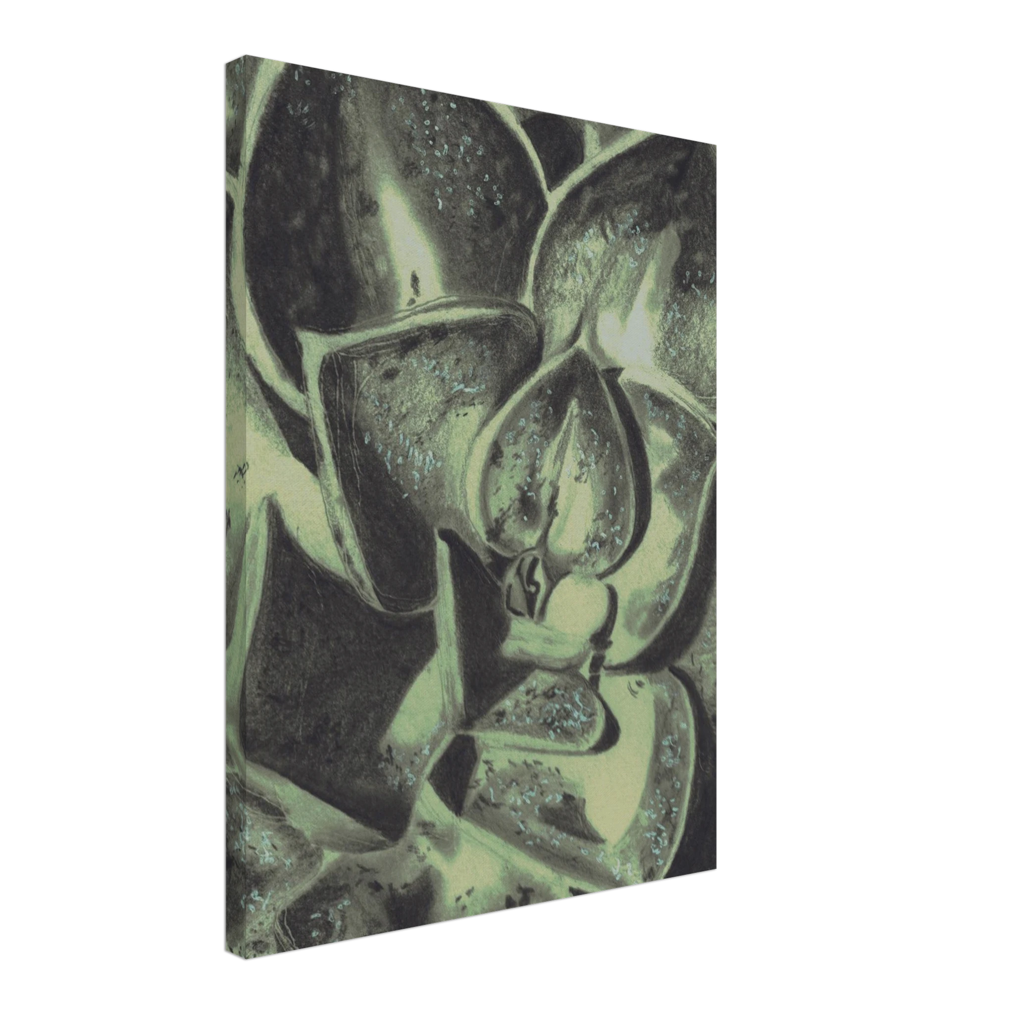 7c422e32-6345-4d0d-a024-c45c23ed6483