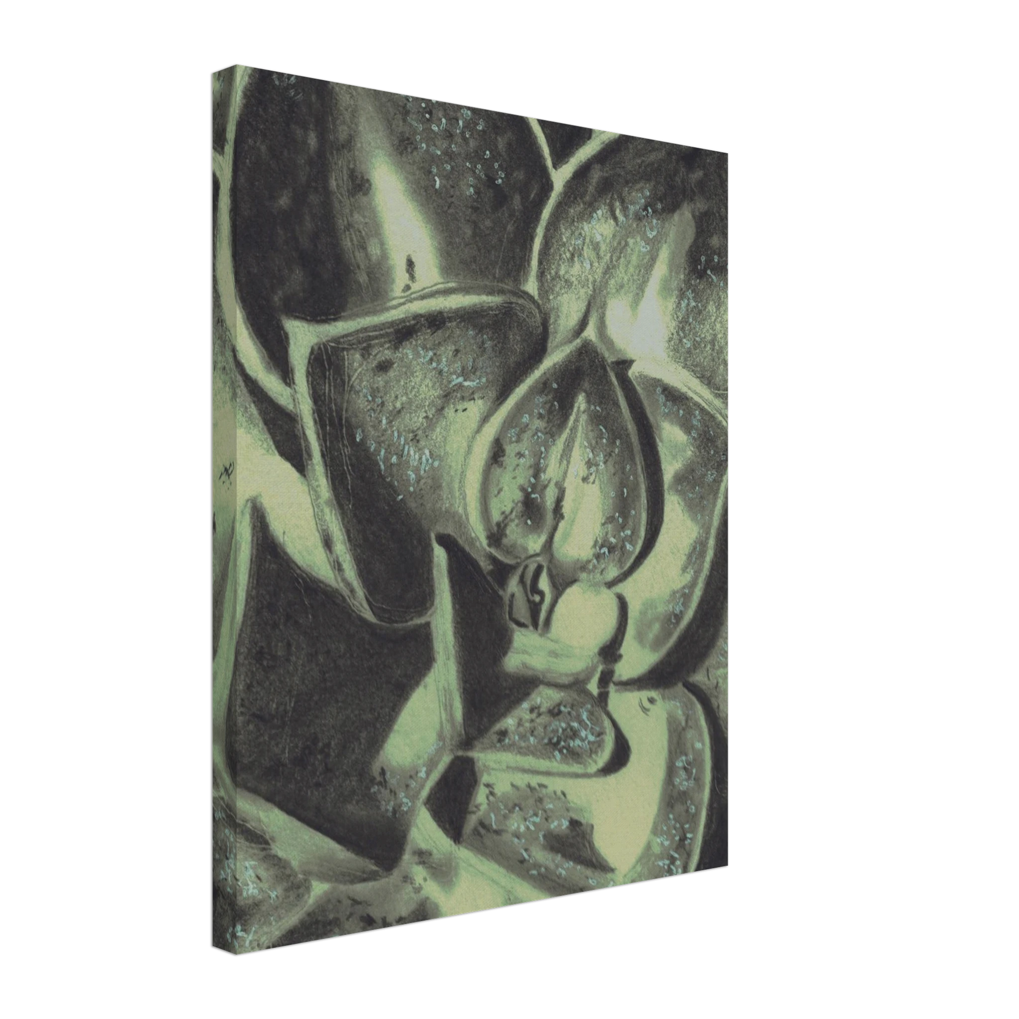 cd3d7997-ca28-48a6-9aae-cad388fbfcd5